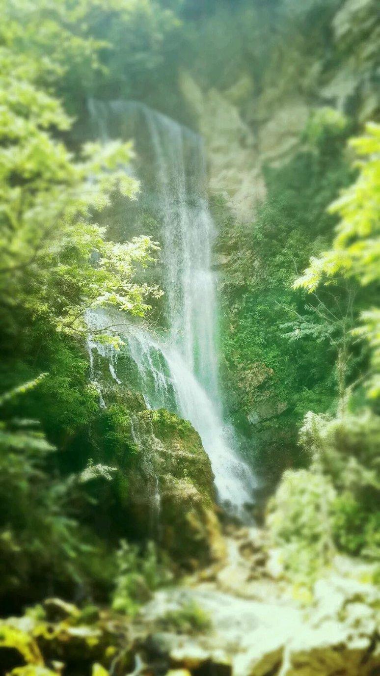 海岛大亨5